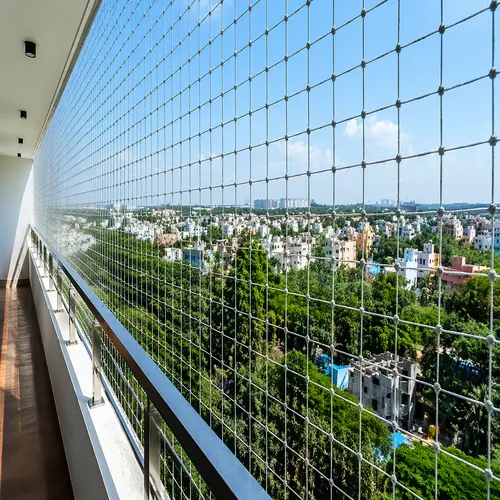 Safety Nets for Birds