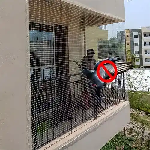 Safety Nets for Pigeons3