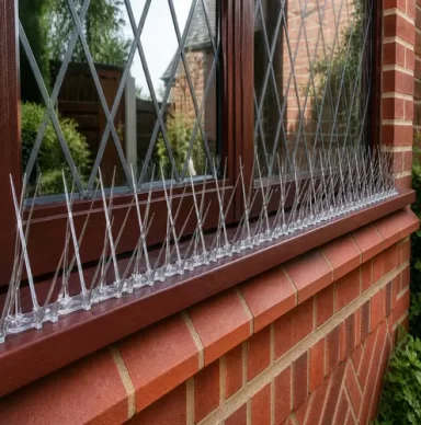 Anti Bird Spikes4