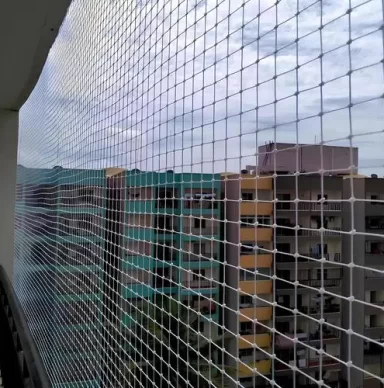 Safety Nets for Birds5
