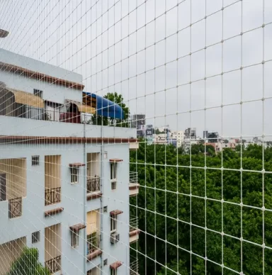 Safety Nets for Pigeons5